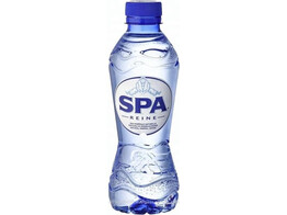 Spa Reine PET 33cl