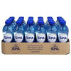 Spa Reine PET 33cl