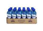 Spa Reine PET 33cl