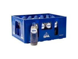 Spa Reine GLAS 25cl