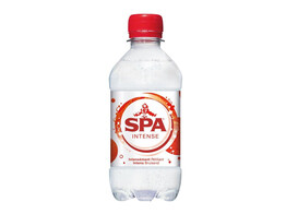 Spa Bruis PET 33cl