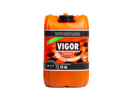 Vigor Original Industriele Reiniger 10L