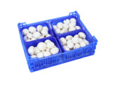 Champignons Ponden 4x500g