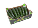 Courgette/Kabak Groen x14