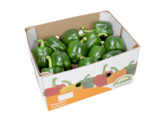 Paprika Groen 95  5kg Belgie Doos