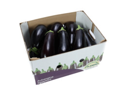 Aubergines/Patlican 300  5kg Belgie Doos